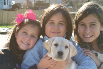 Visit Paradise Kennels